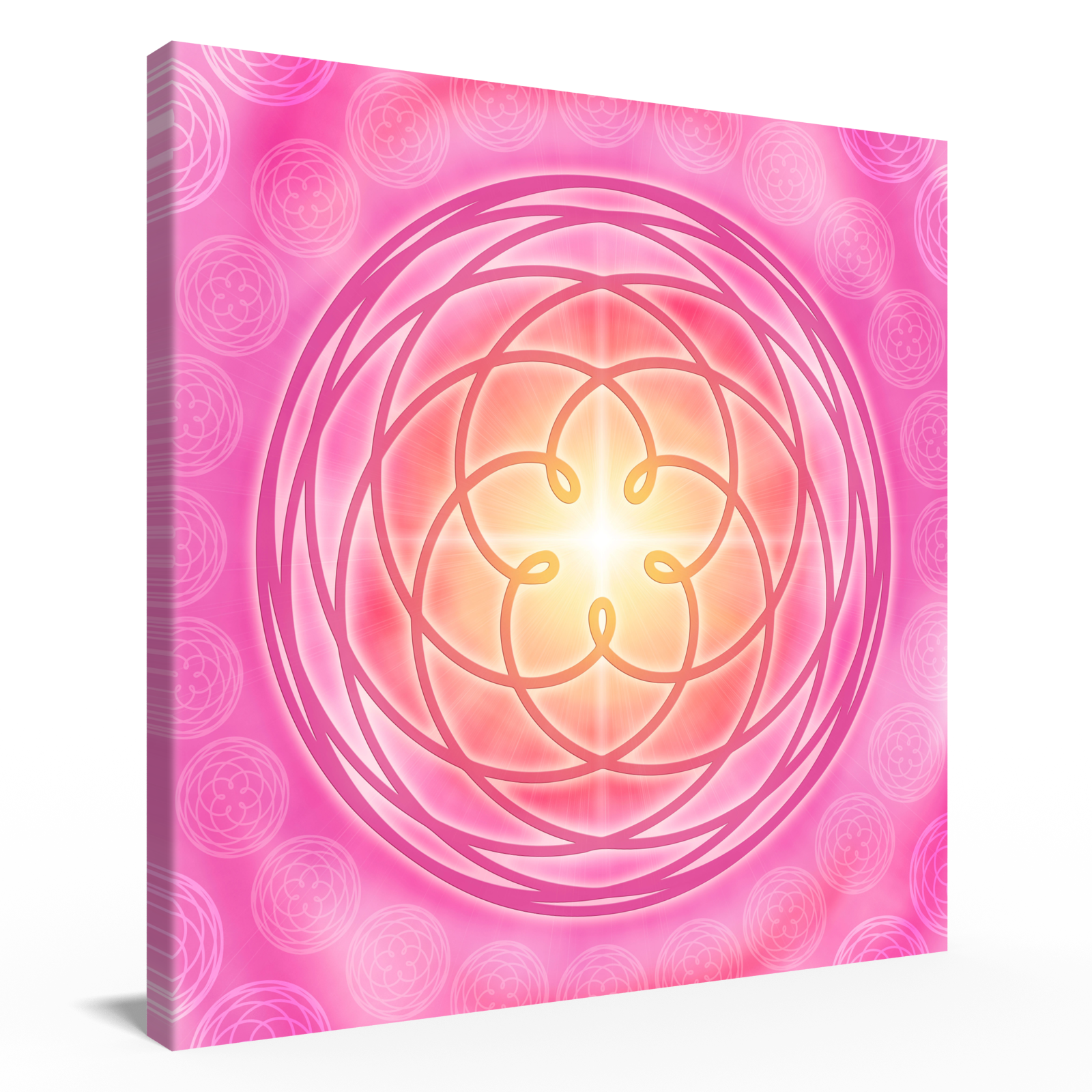 Venusblume 🌸 für das Venusjahr 2025