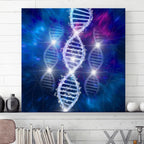 DNA/Doppelhelix – Evolutionäre Entwicklung