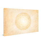 Venusblume / Venusmuster gold-gelb