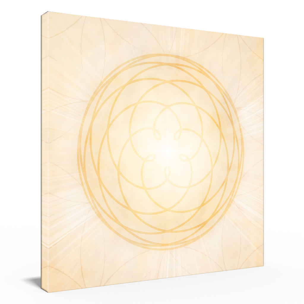 Venusblume / Venusmuster gold-gelb