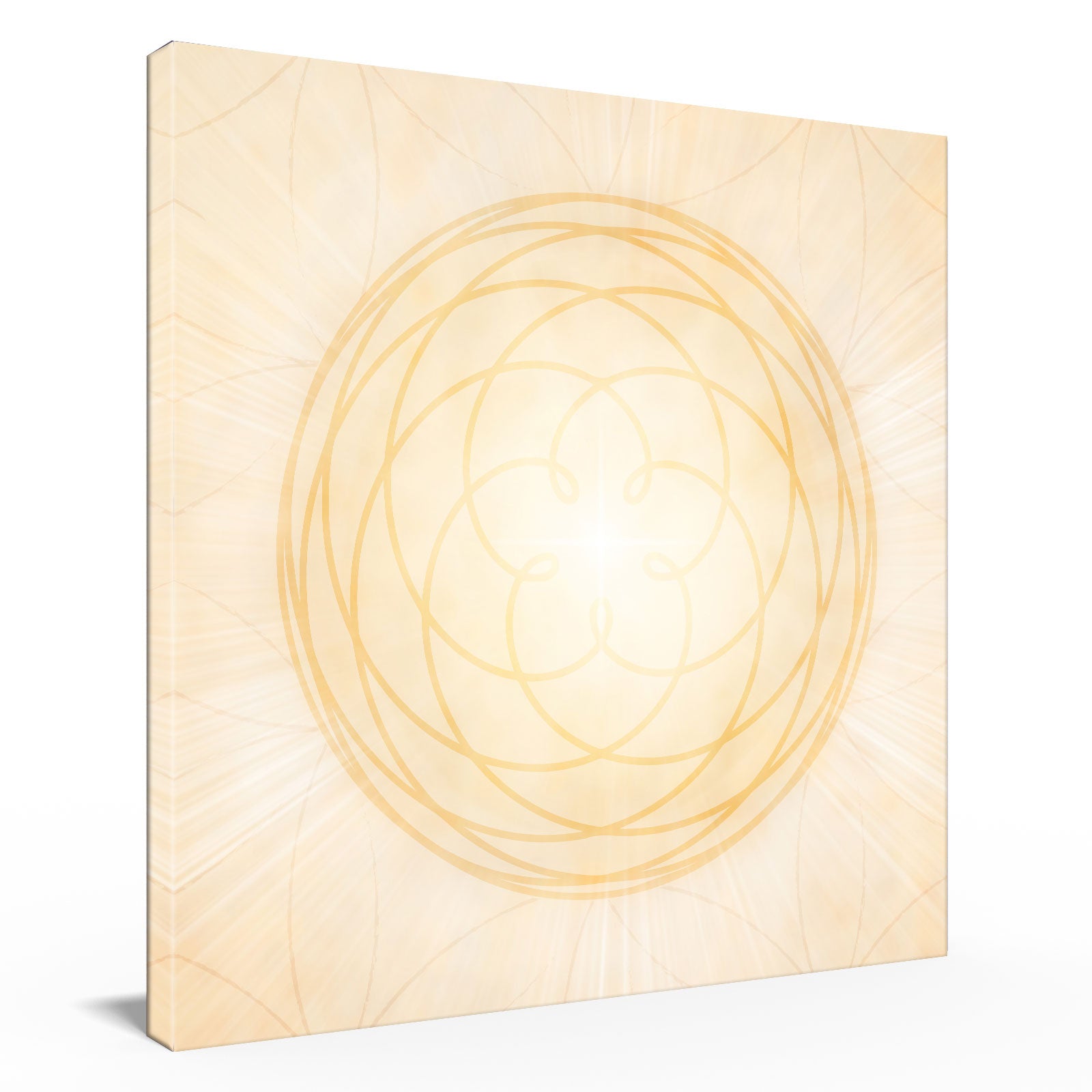 Venusblume / Venusmuster gold-gelb