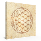 Blume des Lebens »Da Vinci Style« Leinwand