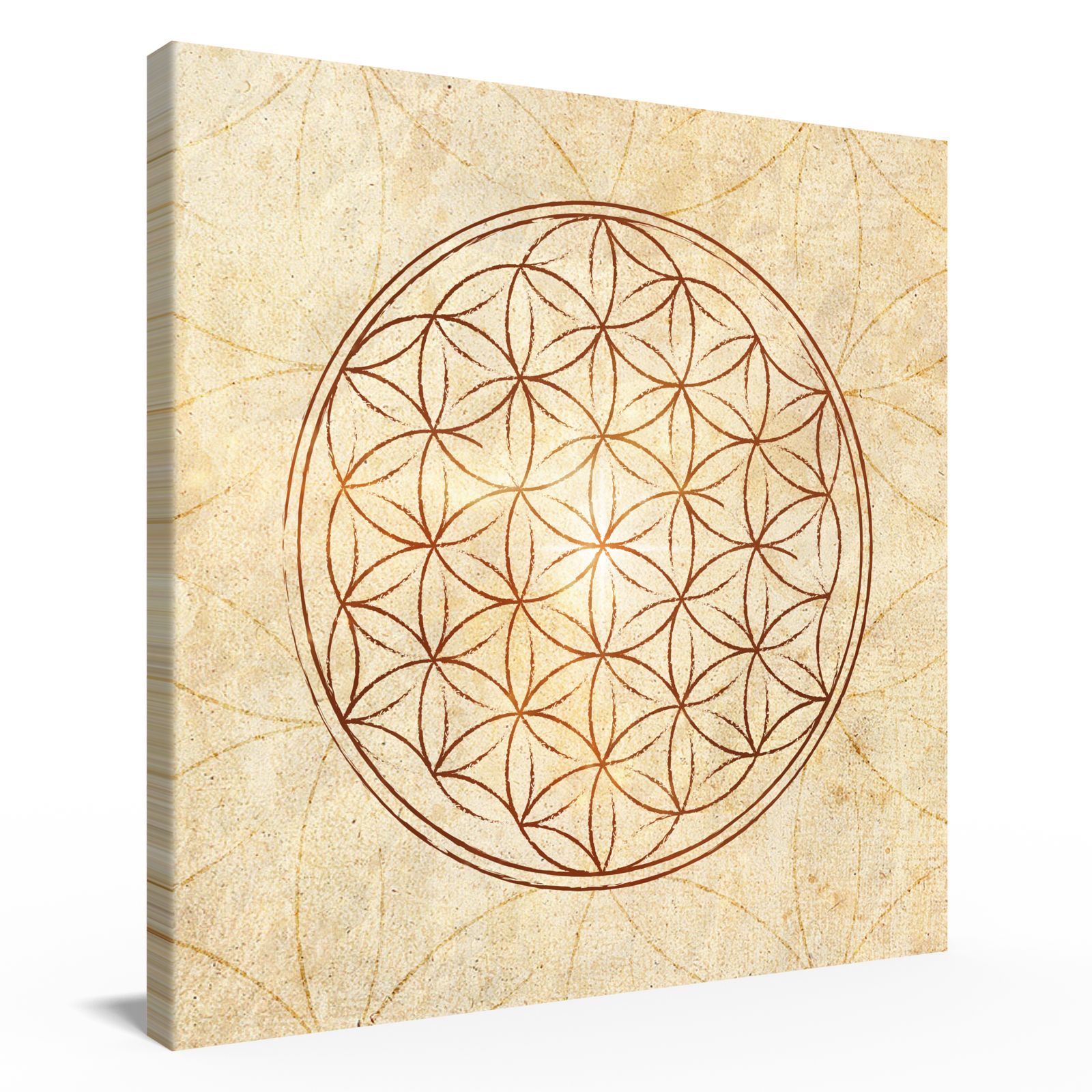Blume des Lebens »Da Vinci Style« Leinwand