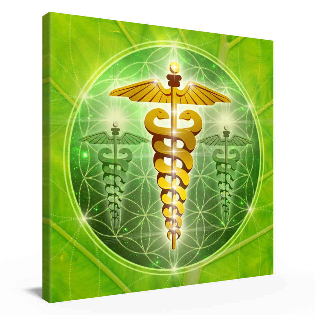 Äskulapstab, Leinwand 60x60 cm