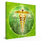 Äskulapstab, Leinwand 60x60 cm