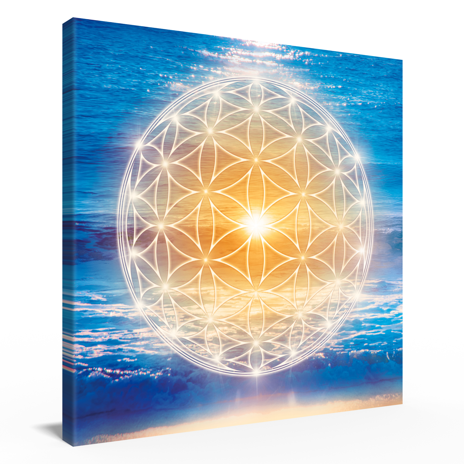 Blume des Lebens, Leinwand 60x60 cm